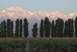 wijnstreek Mendoza